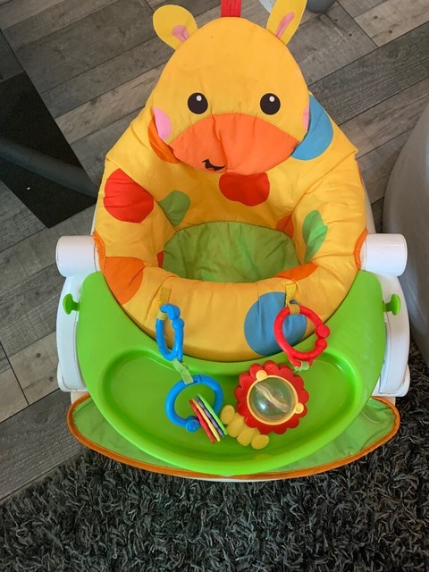 fisher price giraffe seat